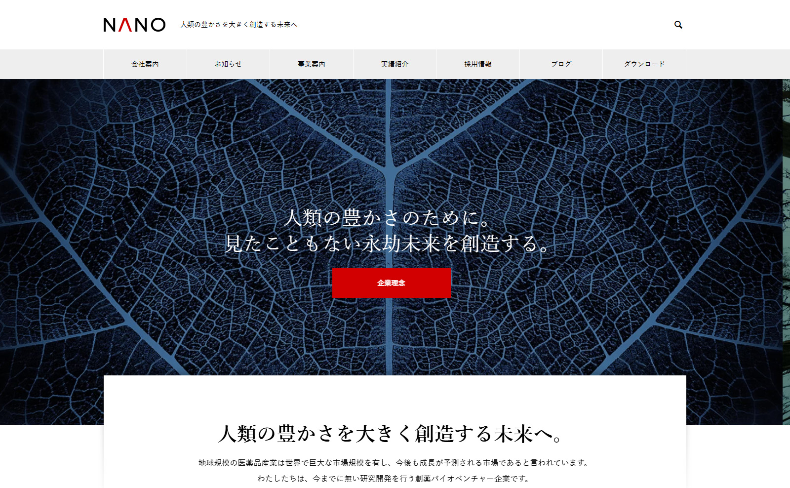NANO(TCD065)