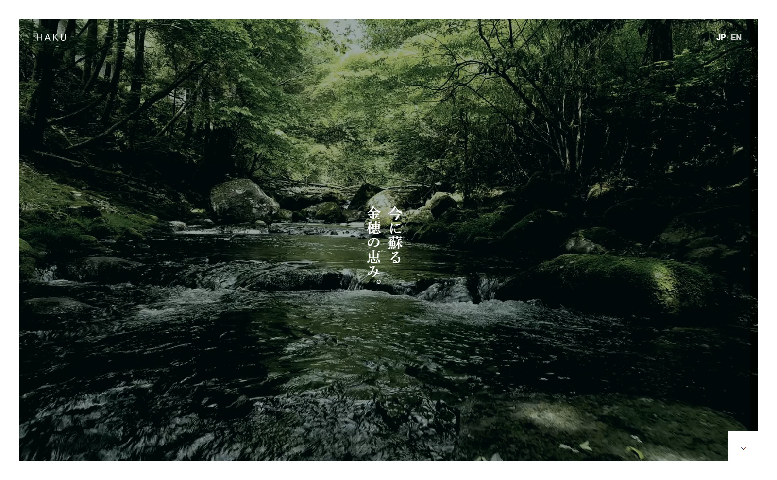 HAKU(TCD080)